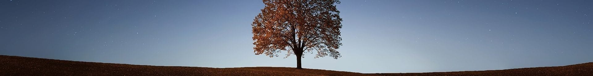 L’APS Gocce Di Energia