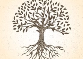 Pratica dell’albero della vita